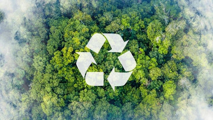 Global Plastic Regulations: A 2026 Survival Guide for International Businesses