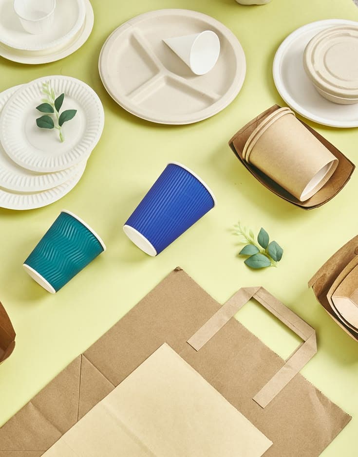 Bagasse Plates vs. Traditional Tableware: The 2026 Technical Review