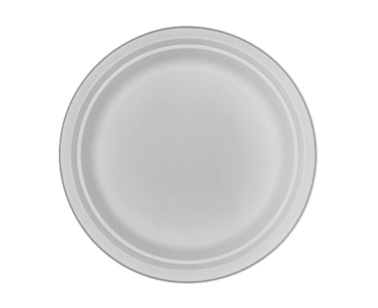 Biodegradable Foam Tray