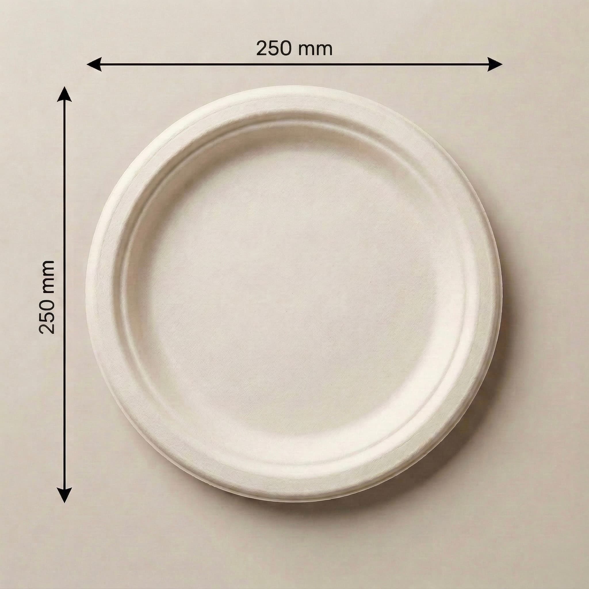10 Inch Round Plate view 1