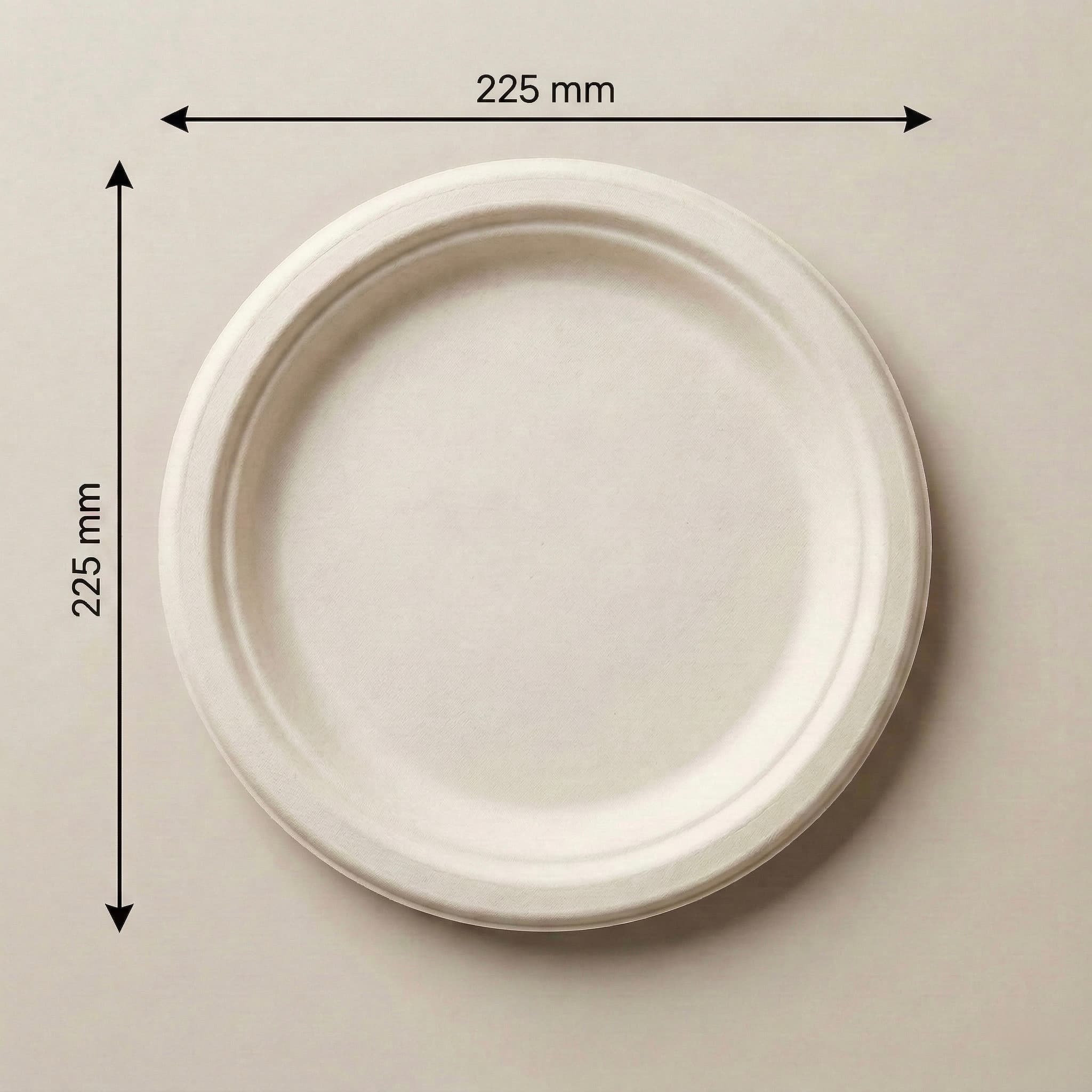 9 Inch Round Plate view 1